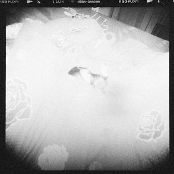 Flussstein Tagesdecke Marineblau